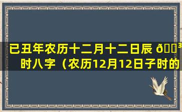 已丑年农历十二月十二日辰 🌳 时八字（农历12月12日子时的八字 🐠 ）